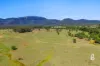 Lot 12 Redmanvale Road, Jerrys Plains, NSW 2330-Image