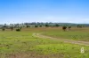 Lot 12 Redmanvale Road, Jerrys Plains, NSW 2330-Image
