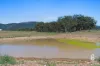 Lot 12 Redmanvale Road, Jerrys Plains, NSW 2330-Image