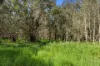 Lot 1,3,19 Redbank Road, Tiaro, Qld 4650-Image