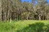 Lot 1,3,19 Redbank Road, Tiaro, Qld 4650-Image