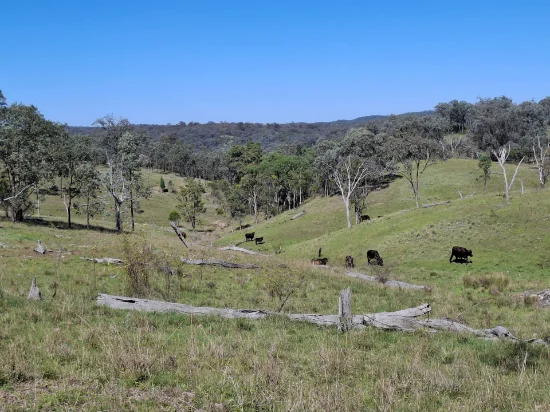 Lot 14, Silver Spur QLD 4385-Image