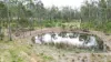 Lot 151 Leggets Lane, Glenwood, Qld 4570-Image