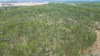Lot 151 Leggets Lane, Glenwood, Qld 4570-Image