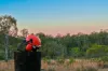 Lot 17 West Lanitza Road, Lanitza, NSW 2460-Image