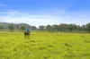 Lot 172 Gympie-Woolooga Road, Lower Wonga, Qld 4570