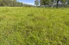 Lot 172 Gympie-Woolooga Road, Lower Wonga, Qld 4570-Image