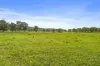 Lot 172 Gympie-Woolooga Road, Lower Wonga, Qld 4570-Image