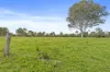 Lot 172 Gympie-Woolooga Road, Lower Wonga, Qld 4570-Image