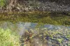 Lot 172 Gympie-Woolooga Road, Lower Wonga, Qld 4570-Image