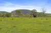 Lot 172 Gympie-Woolooga Road, Lower Wonga, Qld 4570-Image