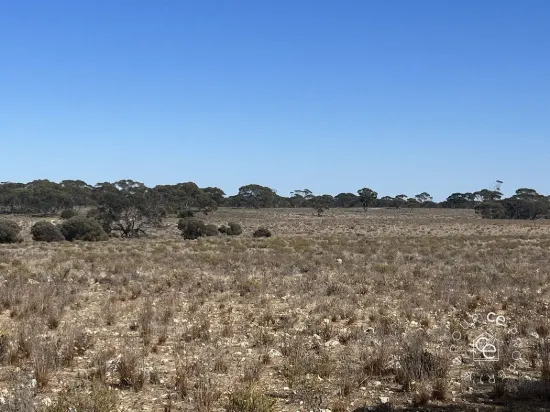 Lot 19 Sleeper Track, Swan Reach, SA 5354