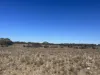 Lot 19 Sleeper Track, Swan Reach, SA 5354-Image
