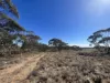 Lot 19 Sleeper Track, Swan Reach, SA 5354-Image
