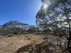 Lot 19 Sleeper Track, Swan Reach, SA 5354-Image