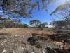 Lot 19 Sleeper Track, Swan Reach, SA 5354-Image