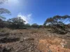 Lot 19 Sleeper Track, Swan Reach, SA 5354-Image