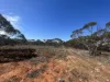 Lot 19 Sleeper Track, Swan Reach, SA 5354-Image