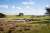 Lot 2 / 1116 Bannister Lane, Gurrundah, NSW 2581-Image
