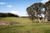 Lot 2/1116 Bannister Lane, Gurrundah NSW 2581-Image