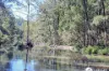 Lot 2  Dungay Creek Road, Wittitrin, NSW 2440