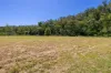 Lot 2  Dungay Creek Road, Wittitrin, NSW 2440-Image