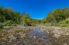 Lot 2  Dungay Creek Road, Wittitrin, NSW 2440-Image