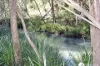 Lot 2  Dungay Creek Road, Wittitrin, NSW 2440-Image