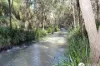 Lot 2  Dungay Creek Road, Wittitrin, NSW 2440-Image