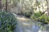 Lot 2  Dungay Creek Road, Wittitrin, NSW 2440-Image
