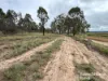 Lot 2 Kunioon Road, Kunioon, Qld 4615-Image