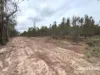 Lot 2 Kunioon Road, Kunioon, Qld 4615-Image