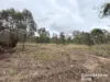 Lot 2 Kunioon Road, Kunioon, Qld 4615-Image