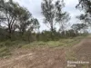 Lot 2 Kunioon Road, Kunioon, Qld 4615-Image