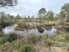 Lot 2 Kunioon Road, Kunioon, Qld 4615-Image
