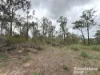 Lot 2 Kunioon Road, Kunioon, Qld 4615-Image
