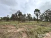 Lot 2 Kunioon Road, Kunioon, Qld 4615-Image