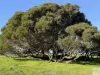 Lot 2 Rifle Range Road, Dudley East, SA 5222-Image
