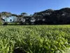 Lot 2 Rifle Range Road, Dudley East, SA 5222-Image