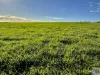 Lot 2 Rifle Range Road, Dudley East, SA 5222-Image