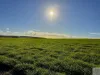 Lot 2 Rifle Range Road, Dudley East, SA 5222-Image