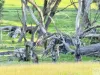 Lot 2 Rifle Range Road, Dudley East, SA 5222-Image
