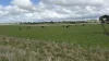 lot 2, six chain road, Sandford, Vic 3312-Image