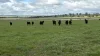 lot 2, six chain road, Sandford, Vic 3312-Image