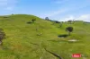 Lot 20/193 Lucernvale Road, Yass, NSW 2582-Image