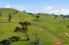 Lot 20/193 Lucernvale Road, Yass, NSW 2582-Image