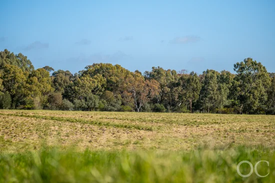 Lot 22 Bagshaws Road, McLaren Flat, SA 5171 - For Sale