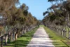 Lot 22 South Bremer Road, Hartley, SA 5255