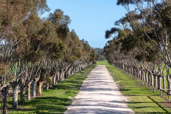 Lot 22 South Bremer Road, Hartley, SA 5255