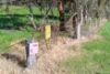 Lot 22 South Bremer Road, Hartley, SA 5255-Image